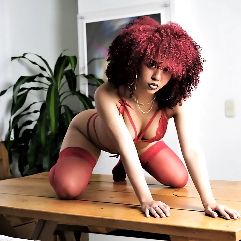 Daniellys cross villareal