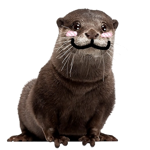 OtterBooty