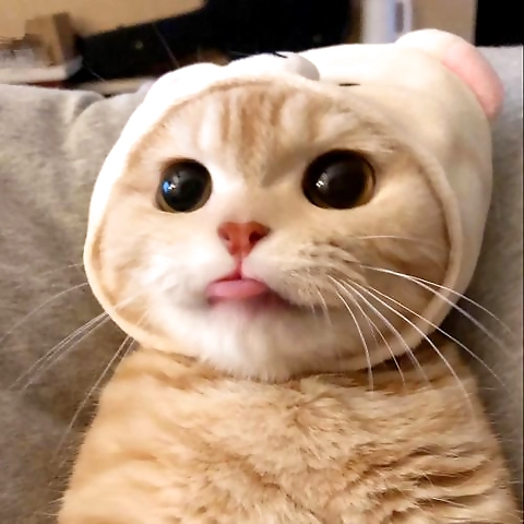 Lala OnlyFans profile picture