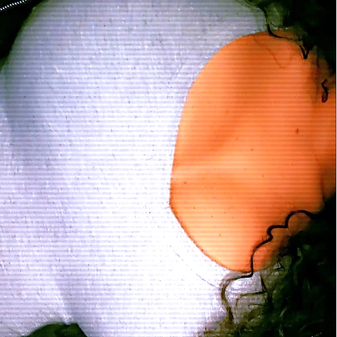 TeeTee