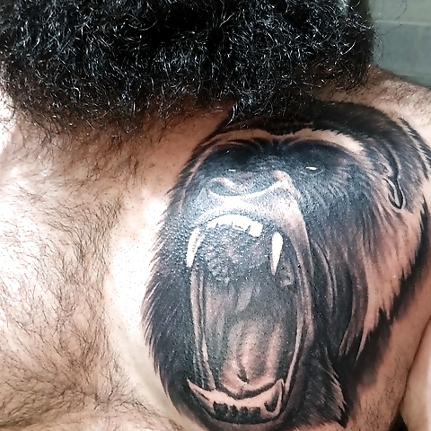 Alpha Prince Albert Primate