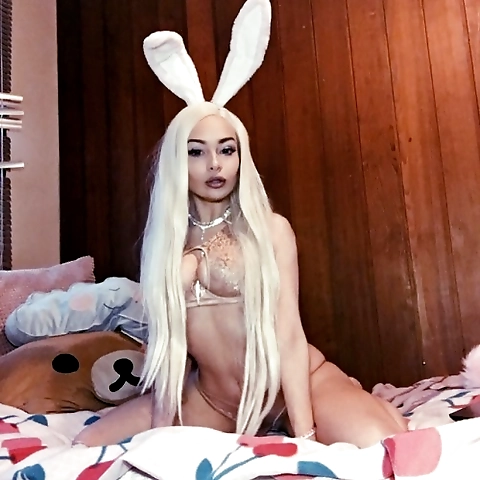 Bunny