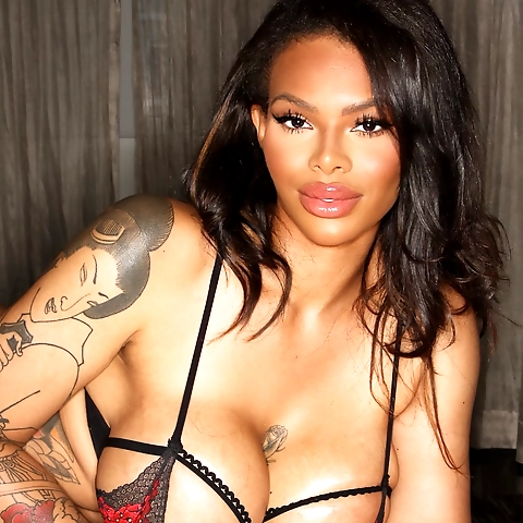 Halle Hayes OnlyFans profile picture