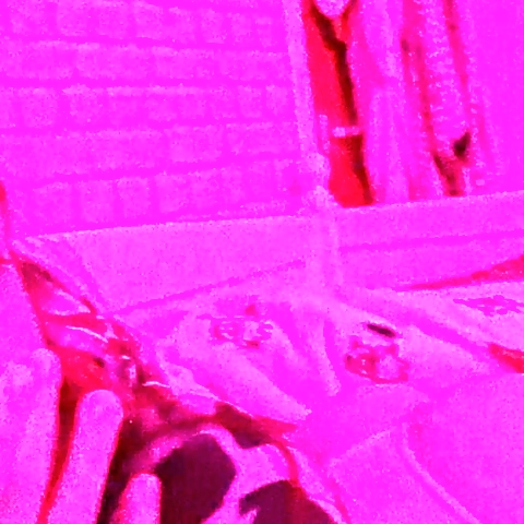 Fresh tight pussy xxx