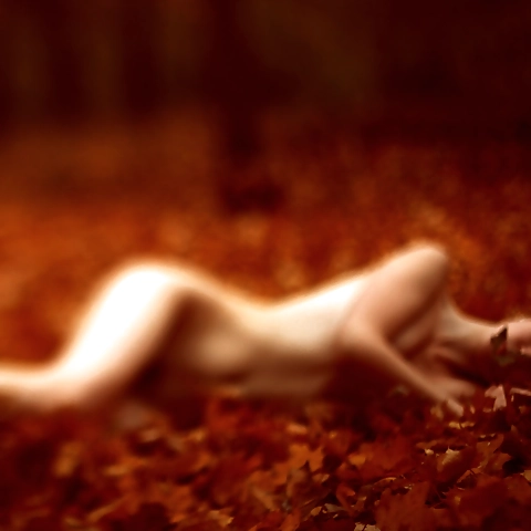 April ONill OnlyFans profile picture