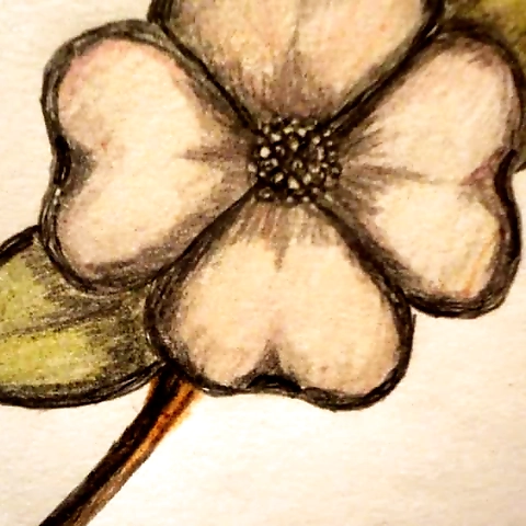 Isabell Ward OnlyFans profile picture