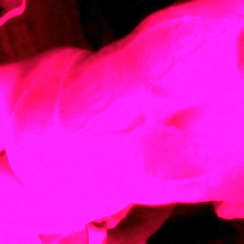 cyberkitten OnlyFans profile picture