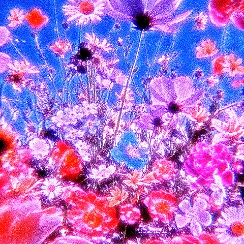 jade loves you OnlyFans profile picture