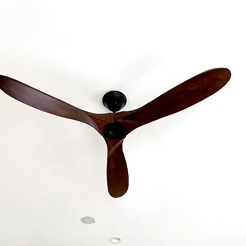 Arc Electric OnlyFans profile picture