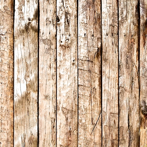 Cat Mommmyy OnlyFans profile picture