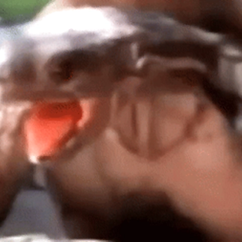 Chupacabra OnlyFans profile picture