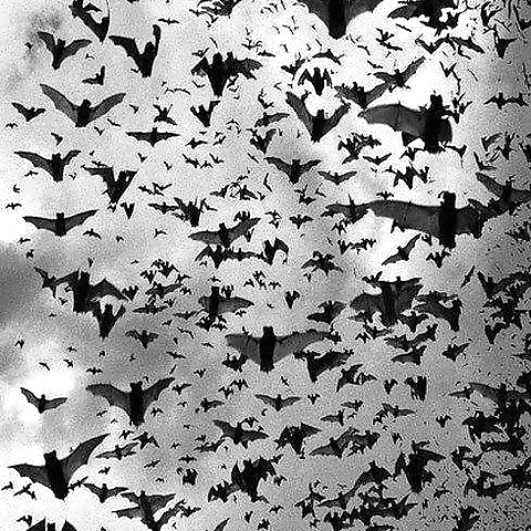 Layla Dagger OnlyFans profile picture