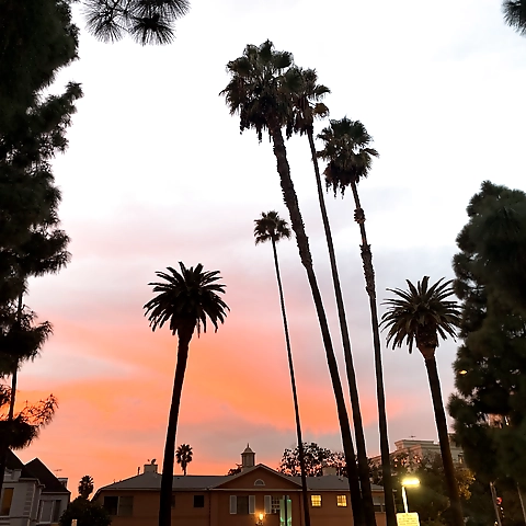 Your Perfect Match with @markusthick on OnlyFans Finder!