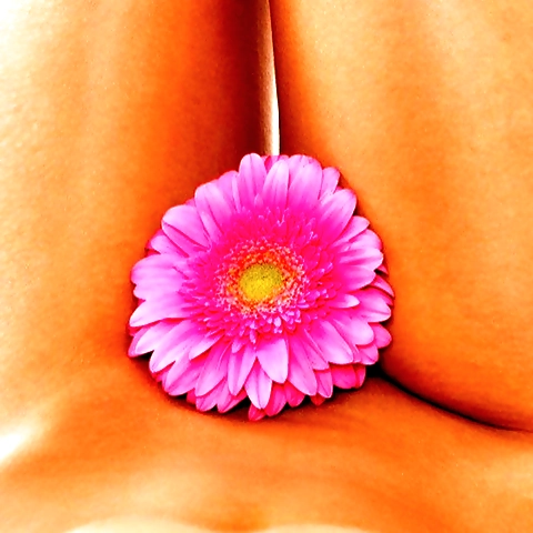 Best vagina podcast OnlyFans profile picture