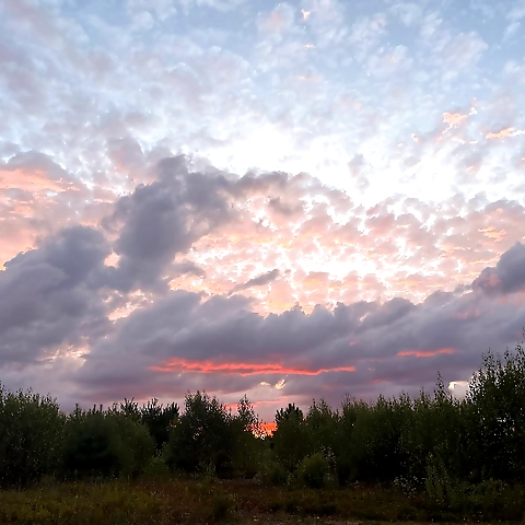 MorningGlory OnlyFans profile picture