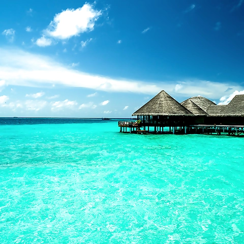 Jodie OnlyFans profile picture