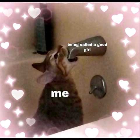 HOT Honey  FREE OnlyFans profile picture