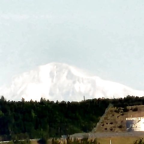 Ahsoka Tanhoes  Video Store OnlyFans profile picture