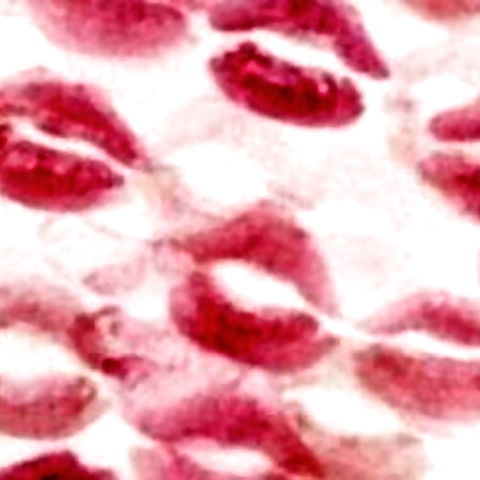 Kei OnlyFans profile picture