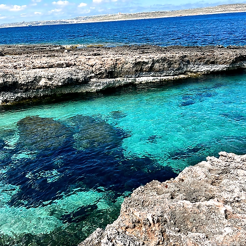 Mia Rose  GIFT IN BIO OnlyFans profile picture