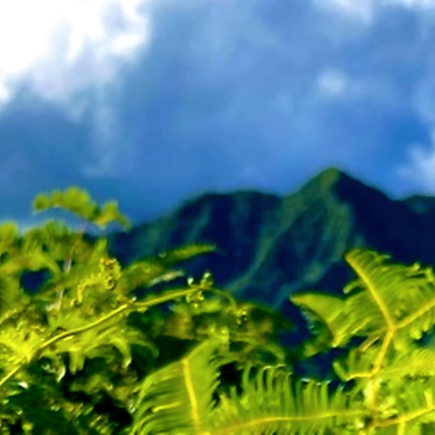 Mila Loves OnlyFans profile picture