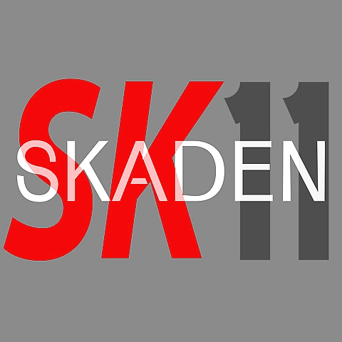 Skaden OnlyFans profile picture