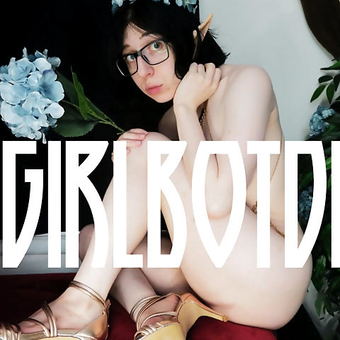 Div  Camshows back OnlyFans profile picture