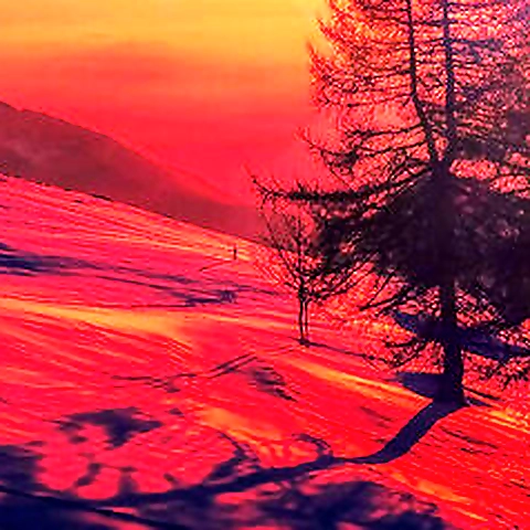 Goddess Mei OnlyFans profile picture