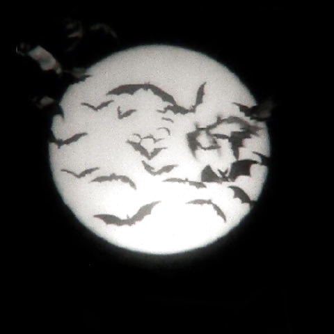 BIGTITTY ASIAN EMO GF OnlyFans profile picture