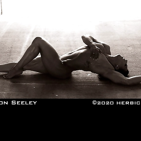 Shannon Seeley OnlyFans profile picture