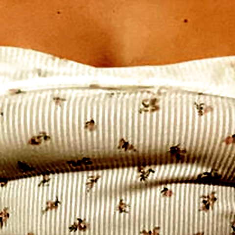 Saga North OnlyFans profile picture