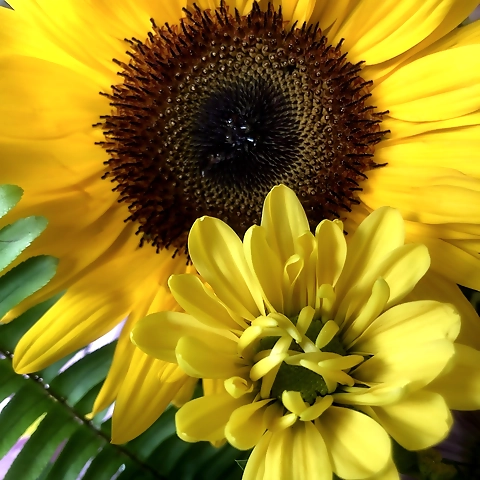 Off to Lakeland I go ❤️ ... On my way to Lakeland 🫡 wish me luck ... Hey there it’s digitalprincxss! Thank you so much for subscribing to my page :) I post daily photos everyday and send out free videos daily 👀 all my collabs will be PPV! Please OnlyFans profile picture