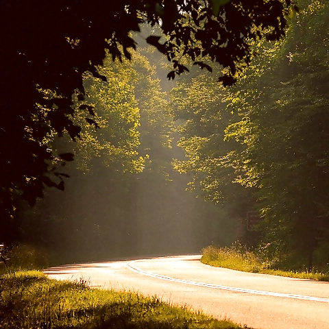 kaylt OnlyFans profile picture