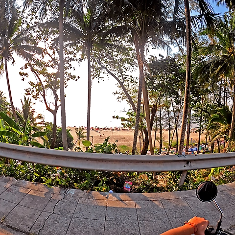 LilyYour secret desires OnlyFans profile picture