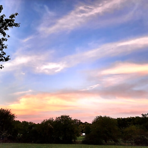 B OnlyFans profile picture