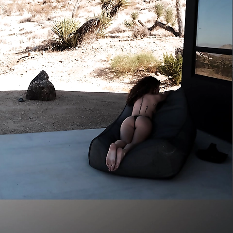 faleshafaye OnlyFans profile picture