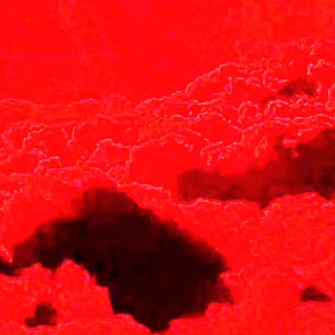 Scarlett Rose OnlyFans profile picture