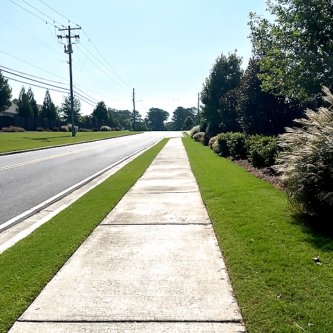 Riley 1 Thick Milf OnlyFans profile picture