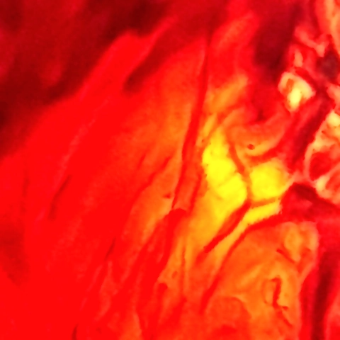 Jae8192 OnlyFans profile picture