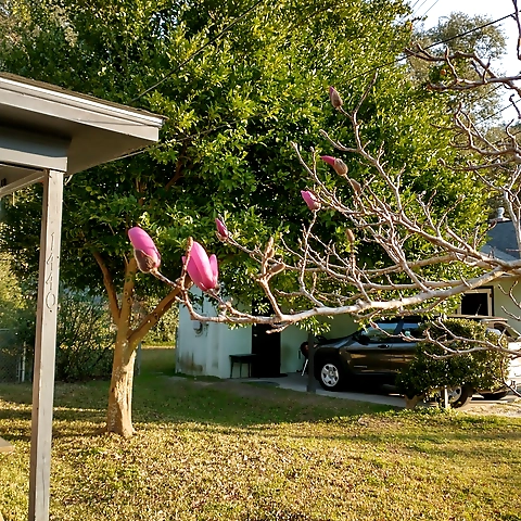 Caity OnlyFans profile picture