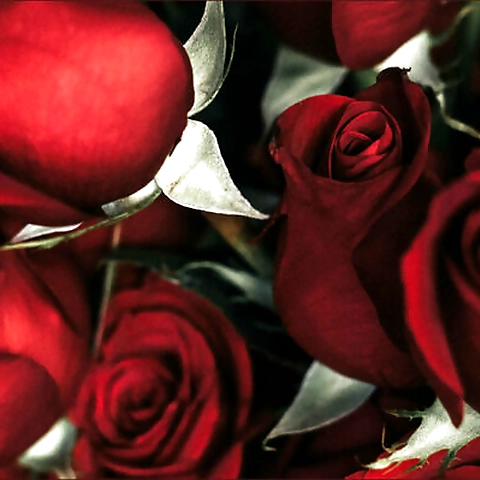 amaea g OnlyFans profile picture