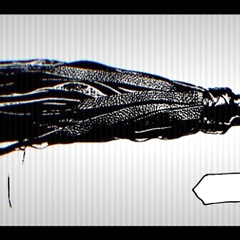 Autumn  FREE OnlyFans profile picture