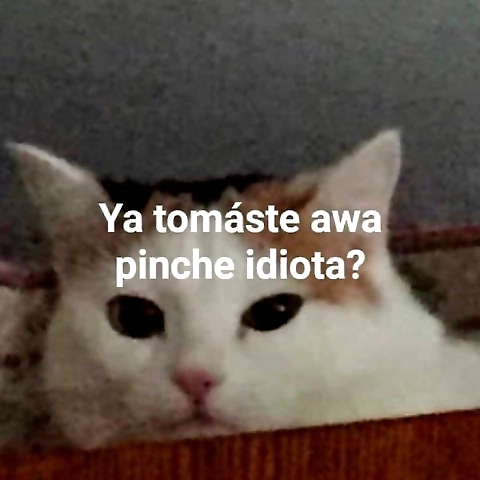 yasmin luna OnlyFans profile picture