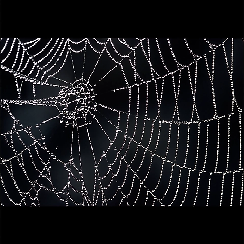 MaryJane OnlyFans profile picture