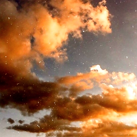 gimseungyeonYara Kim OnlyFans profile picture