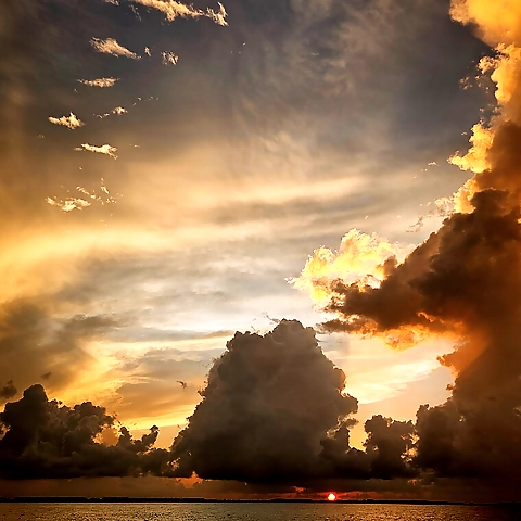 Kris Shustova OnlyFans profile picture