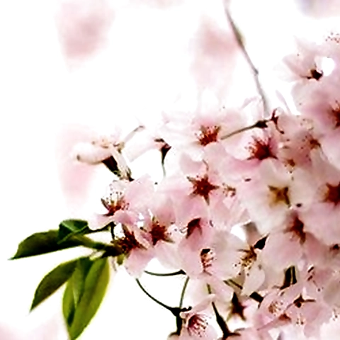 Katie Kat OnlyFans profile picture