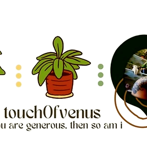 Venus OnlyFans profile picture