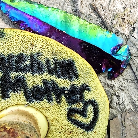 Hot Petite Mushroom Mom OnlyFans profile picture