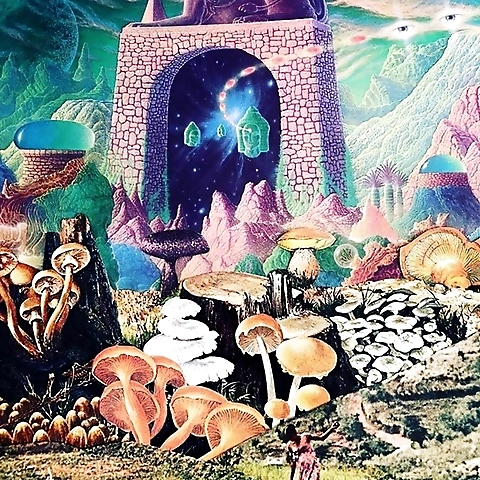 Freya Ivey OnlyFans profile picture